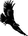 d-eagle2-o.jpg (14659 bytes)