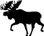 d-moose1-o.jpg (20173 bytes)