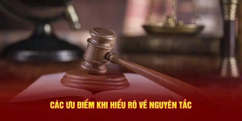 Các ưu điểm khi hiểu rõ về nguyên tắc